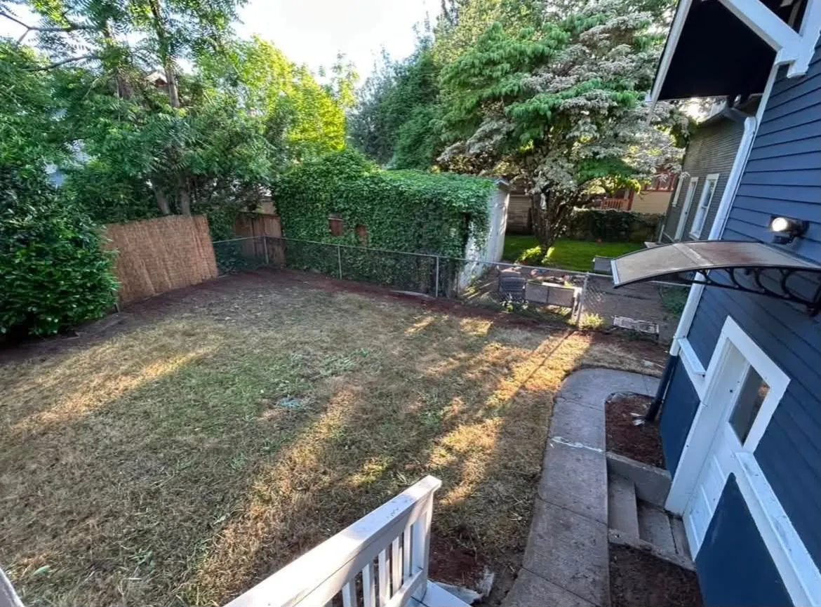 Backyard lawn after mowing and clean up